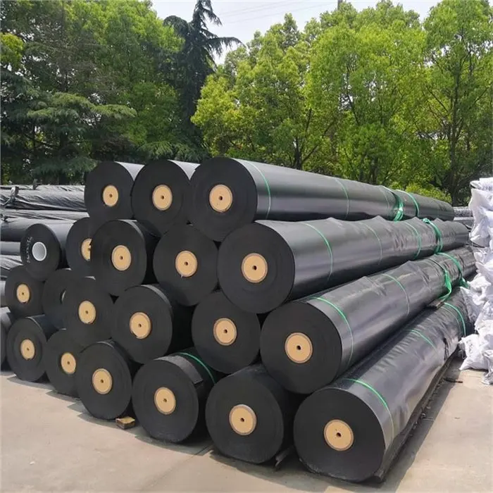 HDPE Geomembrane